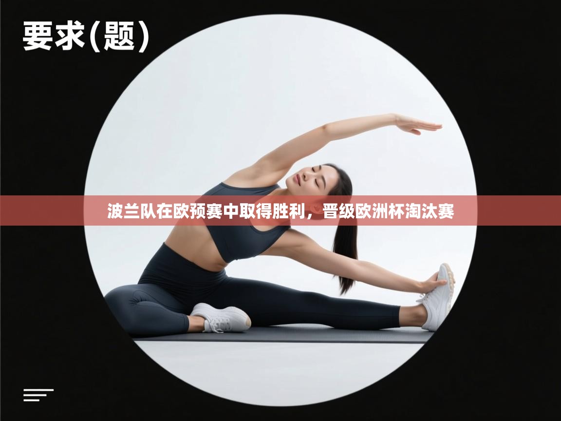 波兰队在欧预赛中取得胜利，晋级欧洲杯淘汰赛  第2张