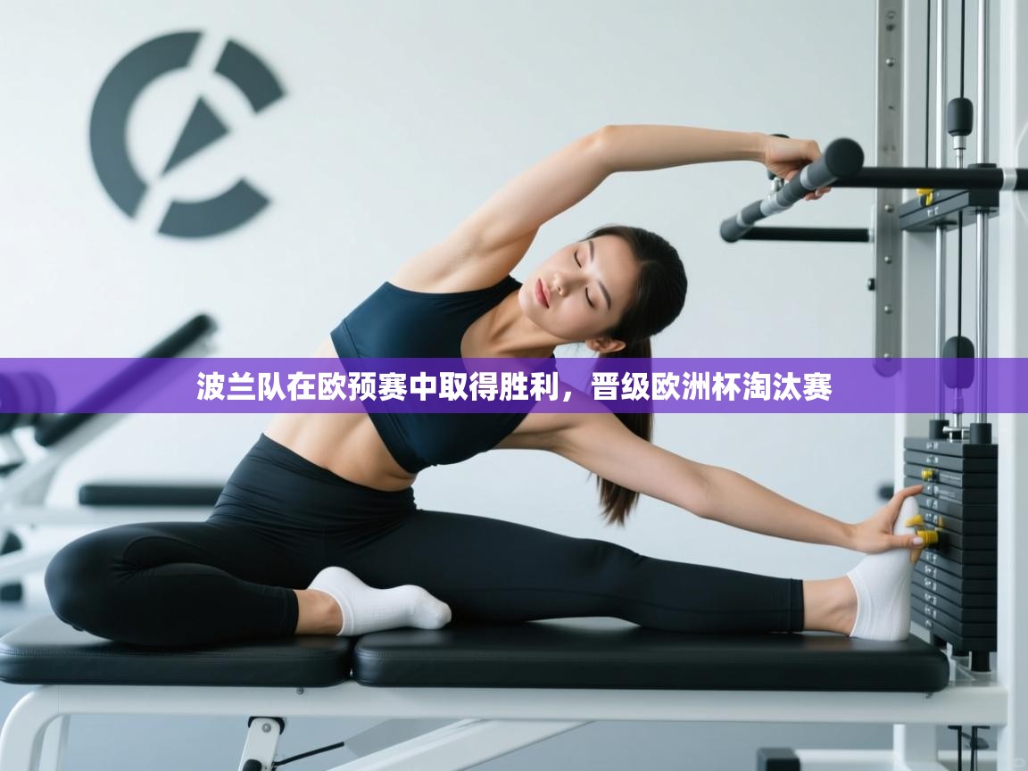 波兰队在欧预赛中取得胜利，晋级欧洲杯淘汰赛  第1张