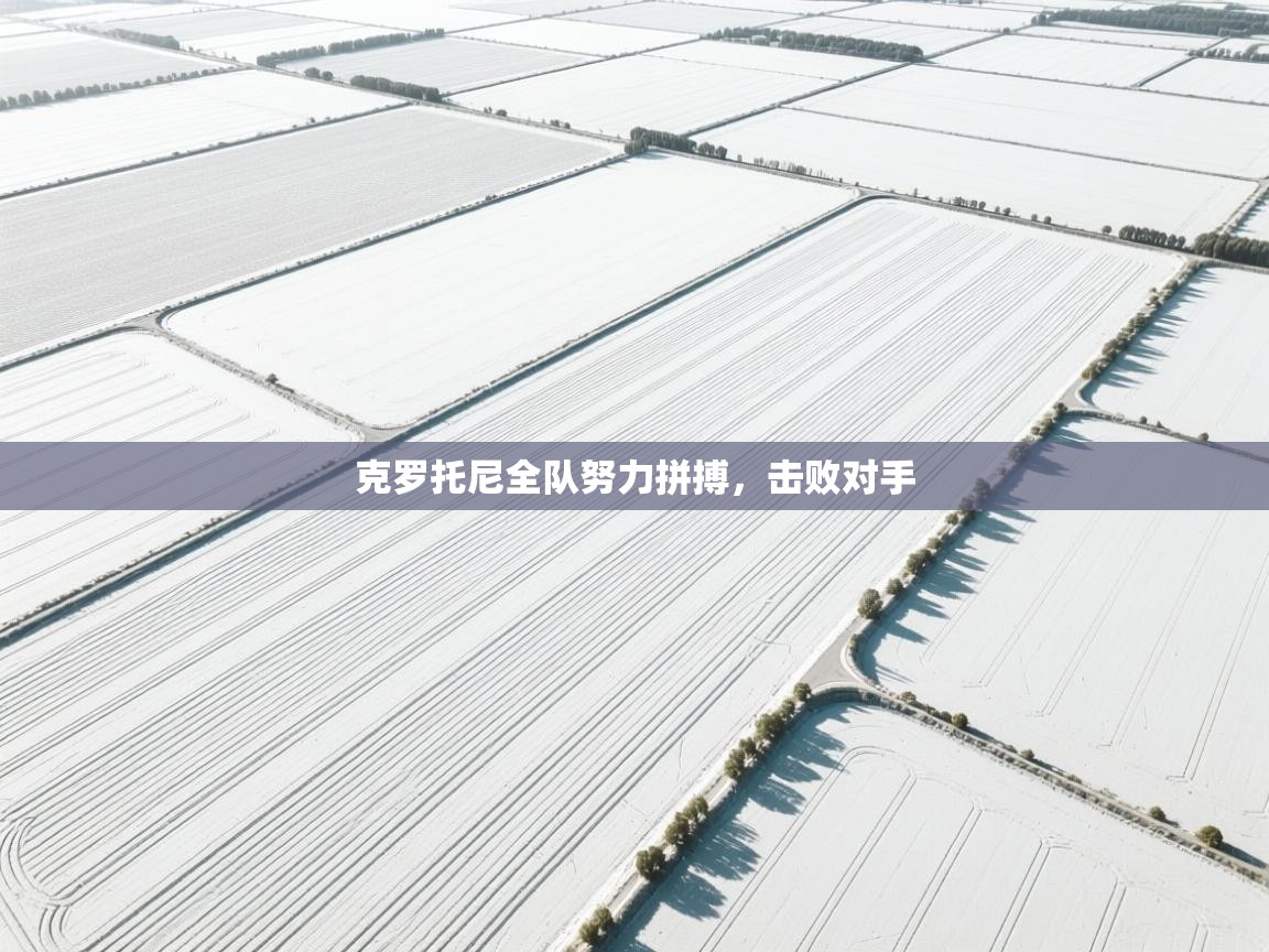 克罗托尼全队努力拼搏，击败对手  第2张