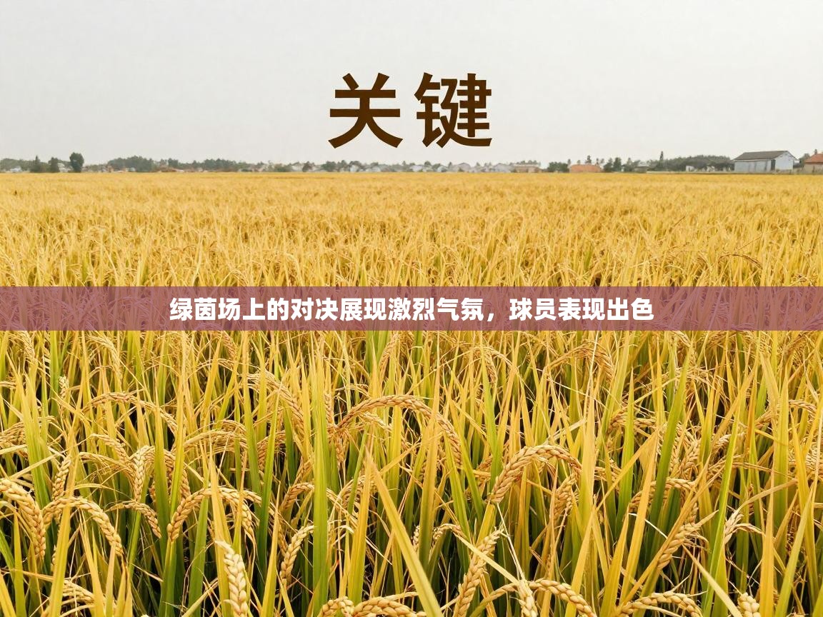 绿茵场上的对决展现激烈气氛，球员表现出色  第1张