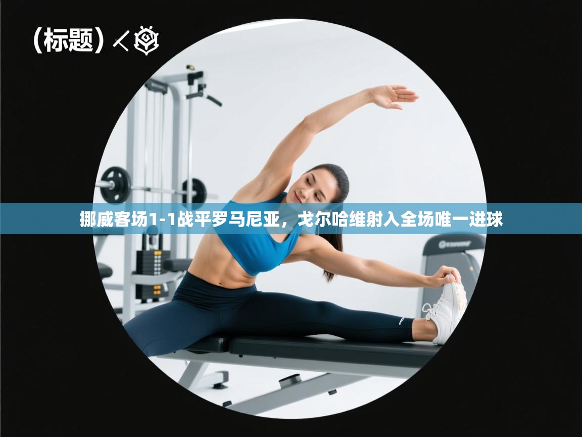 挪威客场1-1战平罗马尼亚，戈尔哈维射入全场唯一进球  第1张