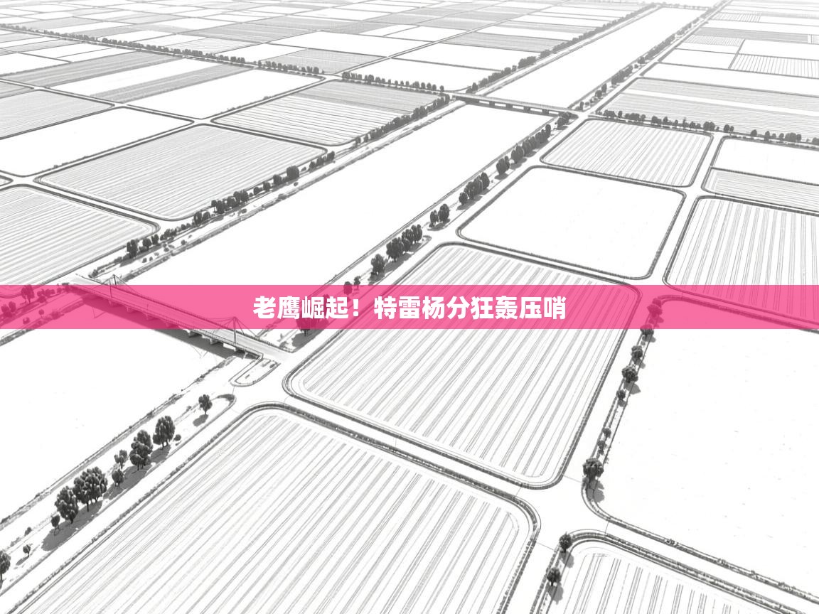 老鹰崛起!特雷杨分狂轰压哨 第1张