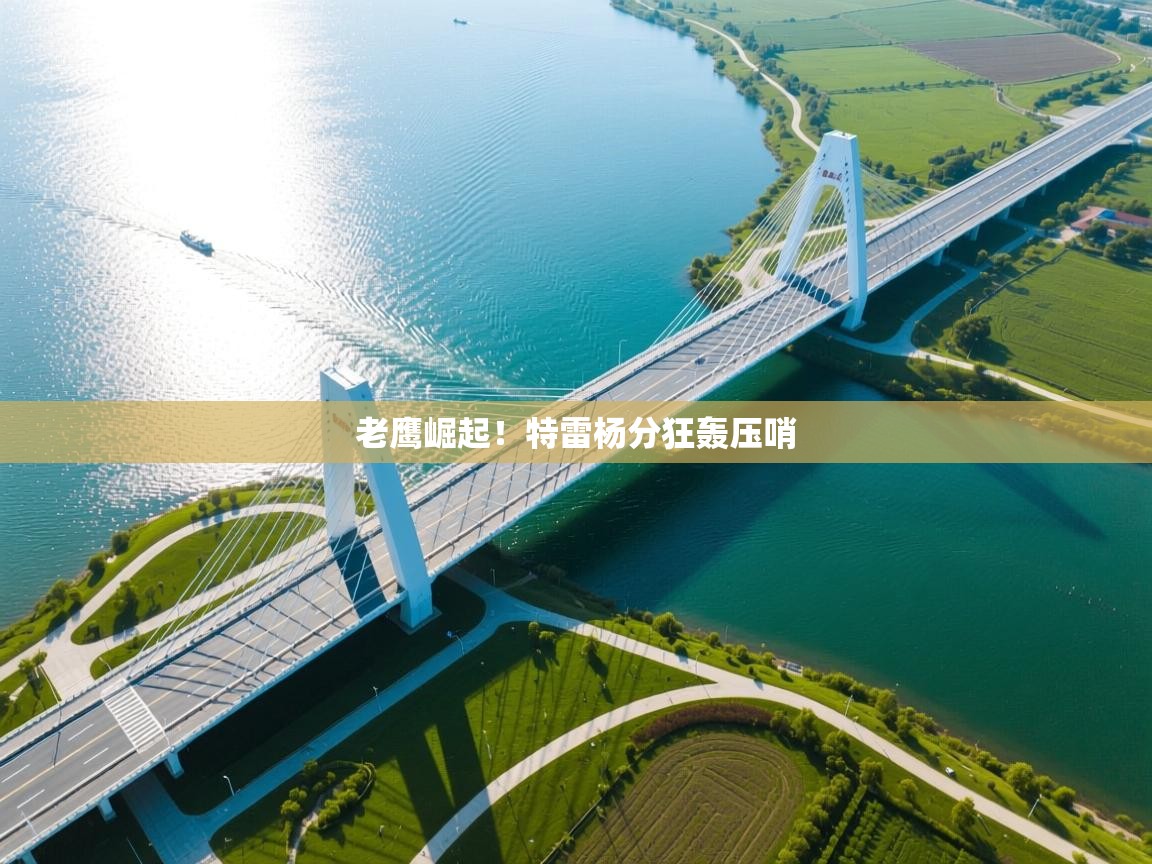 老鹰崛起!特雷杨分狂轰压哨 第2张