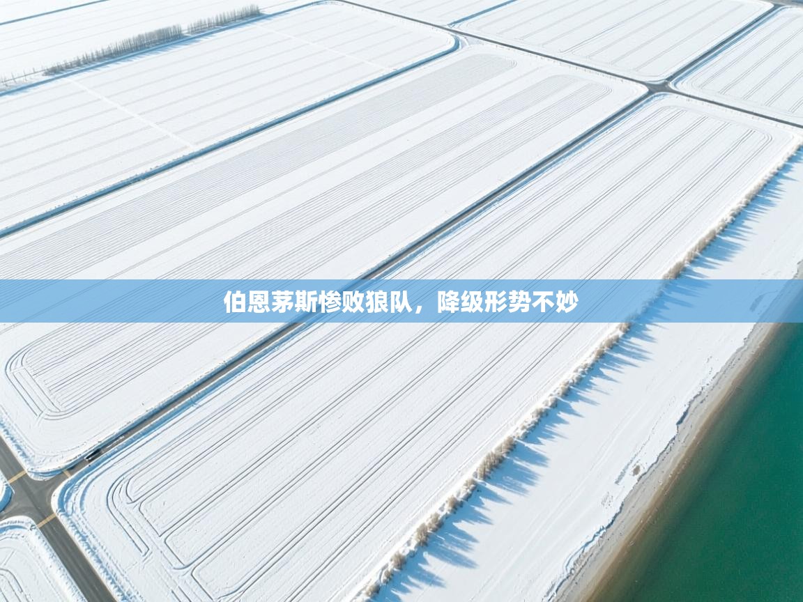 伯恩茅斯惨败狼队，降级形势不妙  第2张